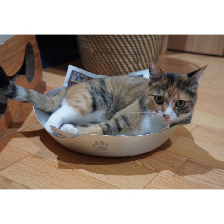 473affb8 c37e 4cd1 a005 72d0a7f1e1a6 1658672710242