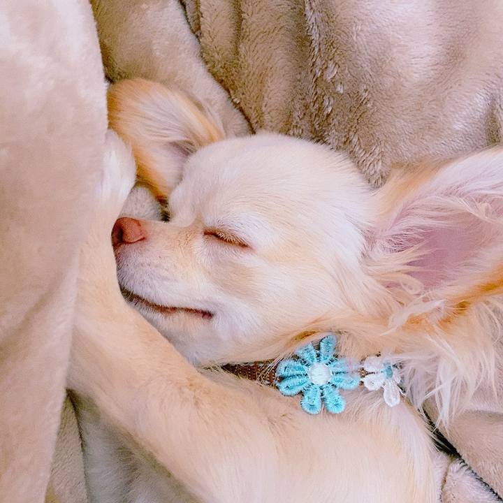 473b0332 b971 494e b5d2 5abf7fd89c5f 1620882731101