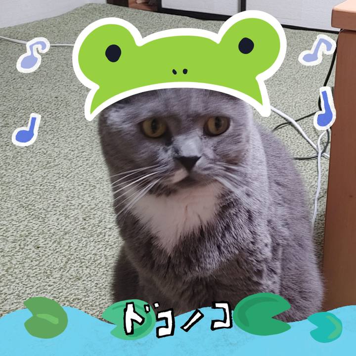 473b5e0a 7707 496c 9bb7 810ee7639000 1717678682934