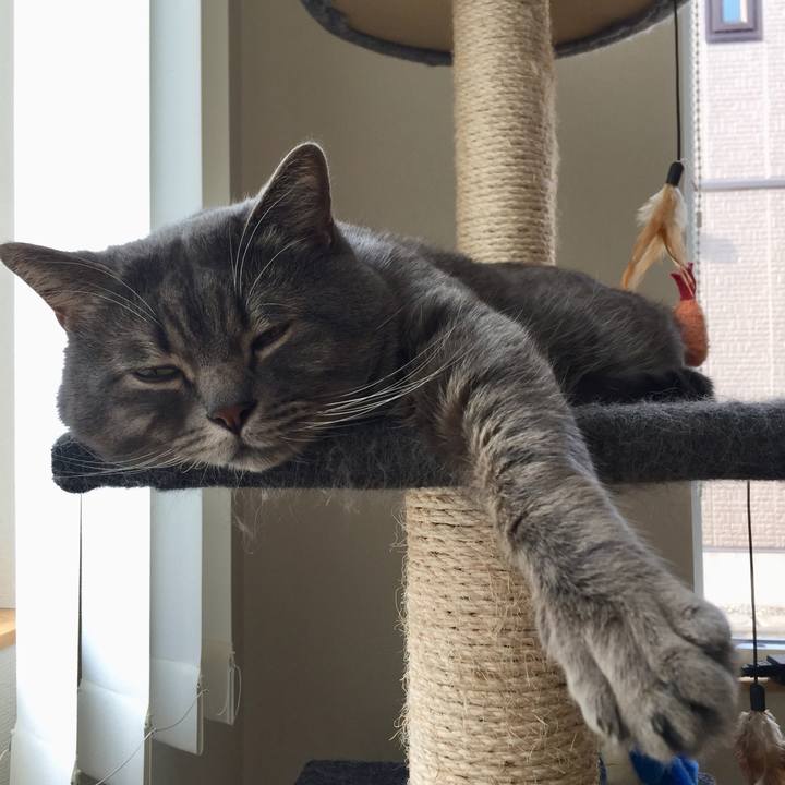 473bb2df 2404 4794 bb90 8ac94d7896a6 1522191838899