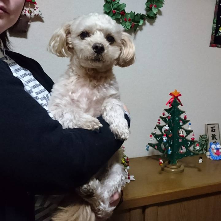 473bb44e b3f9 4a38 a463 2c887d3f129b 1576971419563