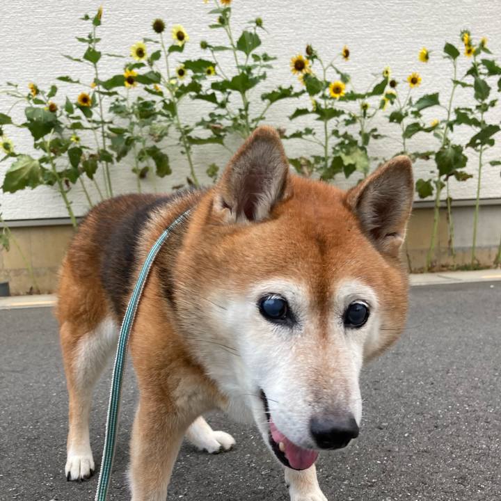 473bb8f1 37a6 4ced b921 a09d72ecbf5b 1726477413291