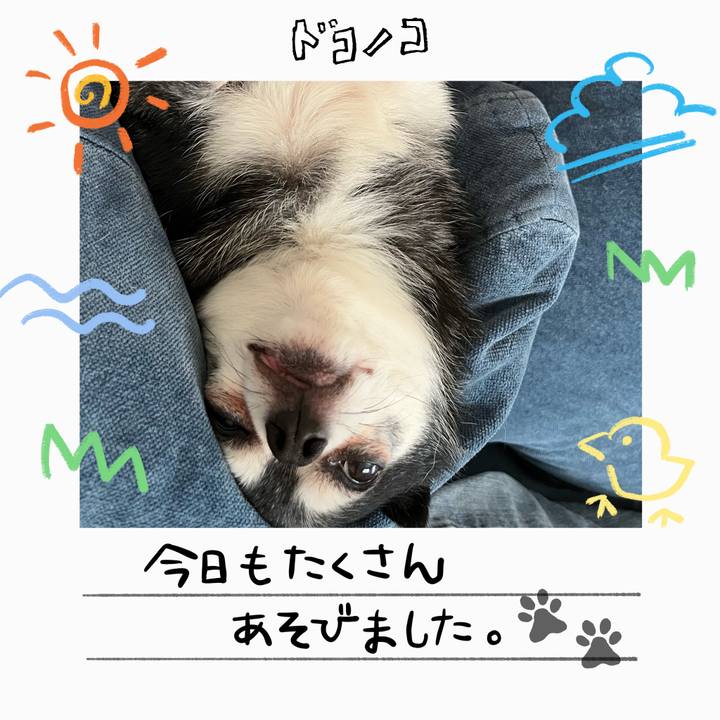 473bb94f 0486 4c1a 8897 5b021266608c 1755055333989