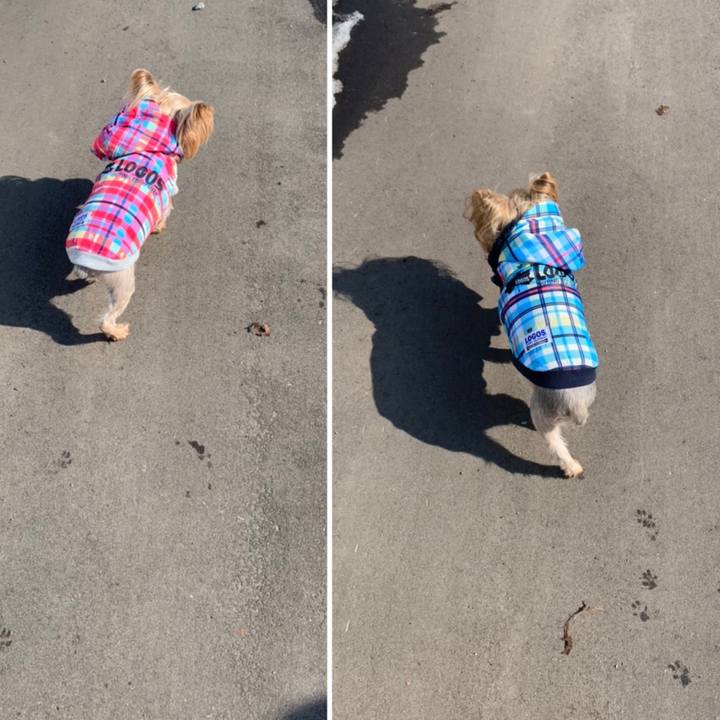 473bdcce cab5 490e af1c c165da610b1b 1615455331798