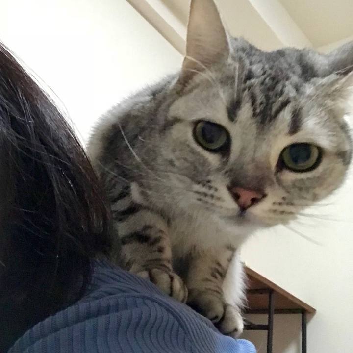 473be8d8 0499 46b1 a0fd 54d4f1a16dbb 1519559299915