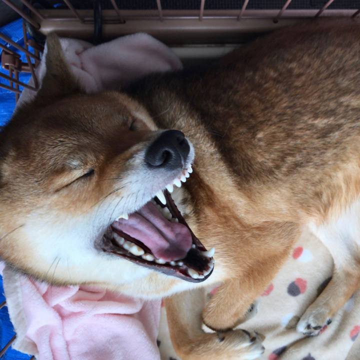 473c7c57 2da8 4c0c 8c5f 8c26386c07d6 1525735113535