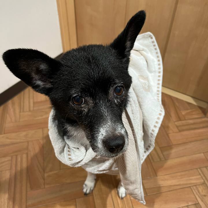 473c96fb 48ea 4faa 82de b073d5d84cab 1696680746453