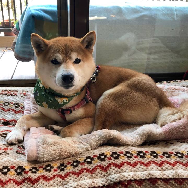 473ca24d 0b58 41f6 9d68 d072bc8e59a1 1552377349230