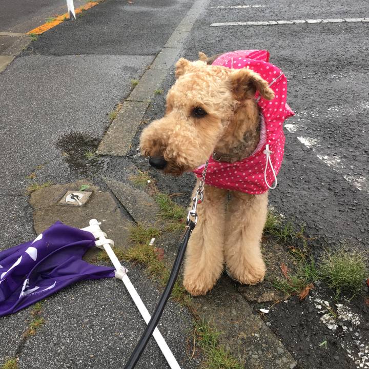 473cc14d 4ca3 4efe a35f 7b4bba3046a2 1568025183733