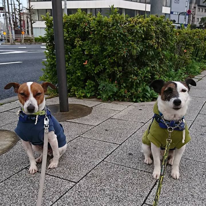 473ccc44 9028 43e5 b645 25276d31e9d3 1555280107747