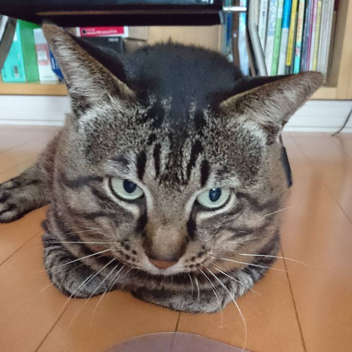 473cea7d 48e2 4999 9ead 40d770d661d9 1565351355820