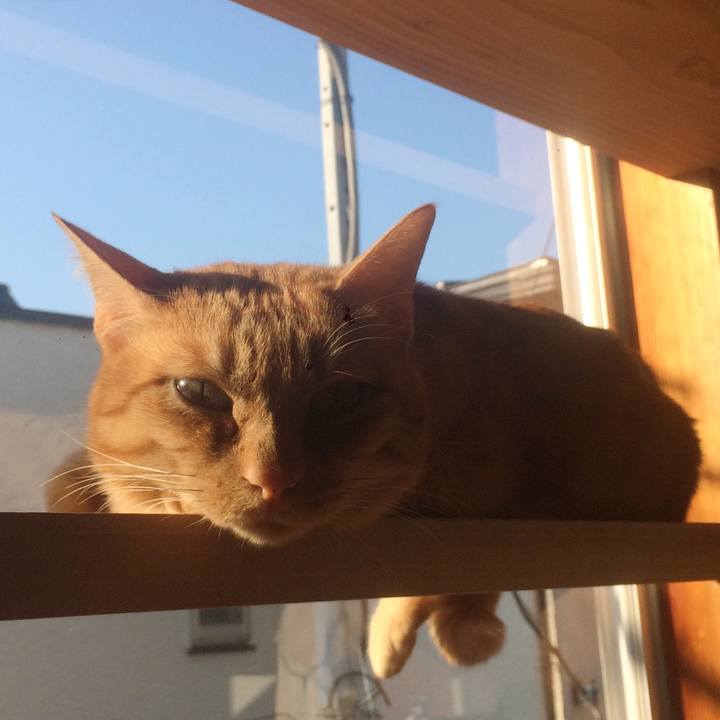 473d6fd3 6ba5 44c1 a7e8 21cdbef992d6 1578874061000