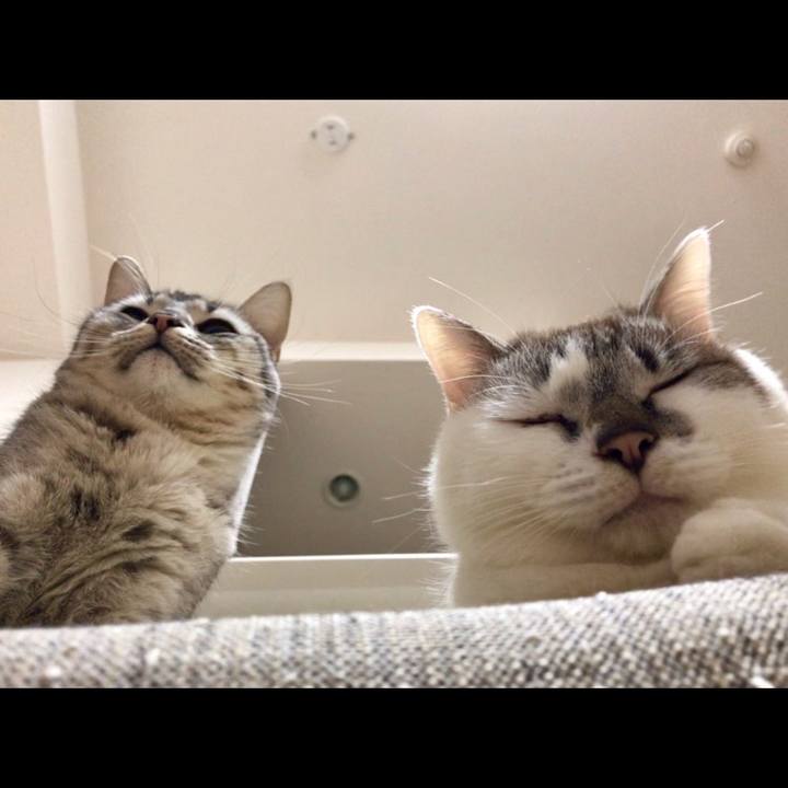 473d81f7 ff9f 4039 87fc 42dff38402c9 1518339671610