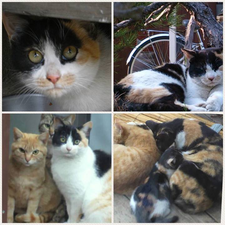 473d9f62 8fa0 4f8a 949a b02018615cc3 1517890653407