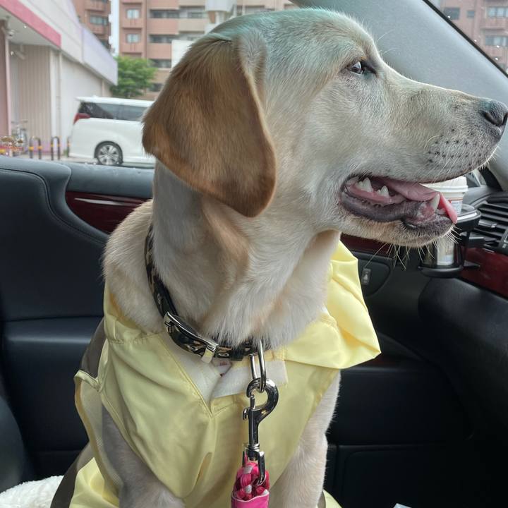 473dae96 c7f1 4caa acd0 92c36e347c5b 1621380048838