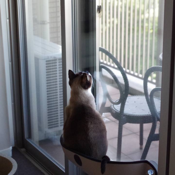 473dbc0d ee81 4572 b3db bcf05b3366a7 1567477096128