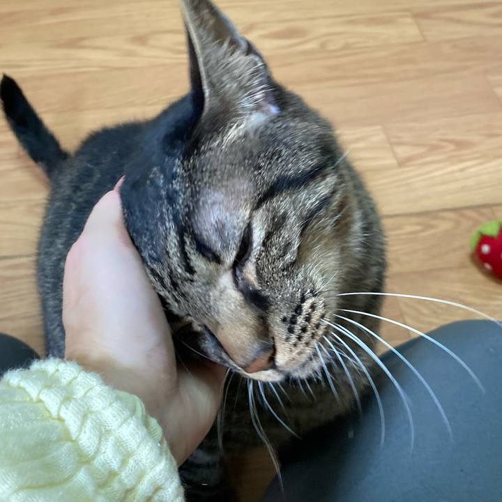 473dd5d0 091c 4bc9 84b7 c46157114d22 1633424470059