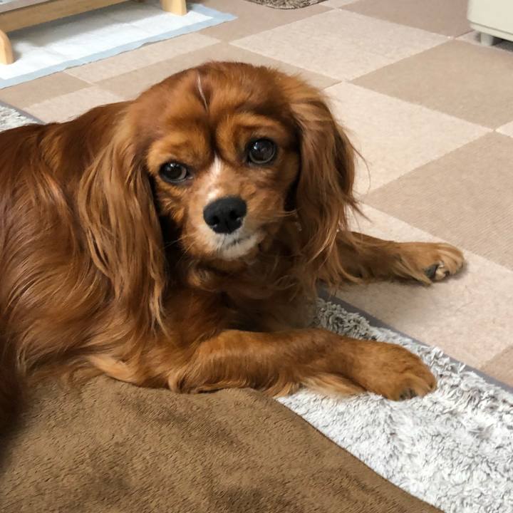 473df7de 80e5 42b5 a091 d3c9bbb71051 1587593758726