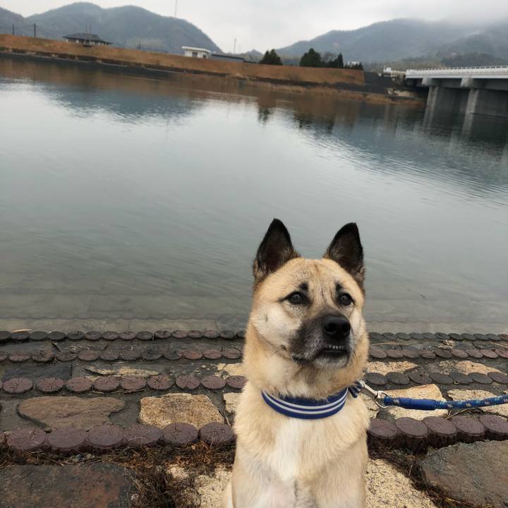 473df86b 97fb 4ba9 90ca c5191d390f83 1577684346830