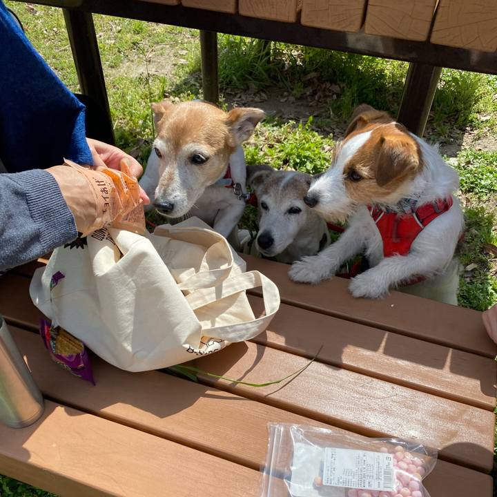 473e3a2d cb46 4bf5 ae35 86c96c5e80c3 1680425305426