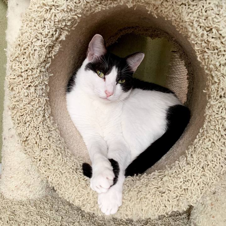 473e45c8 abbc 45f2 a629 a489ba131142 1539312244974