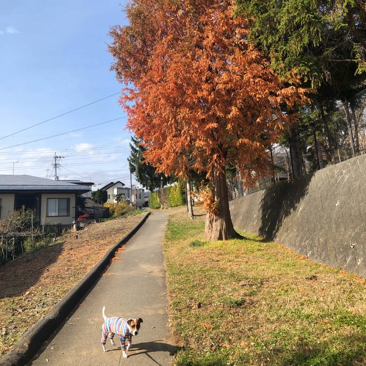 473e71f0 df8a 4eea bd7b d6a6c2760c13 1574850926105