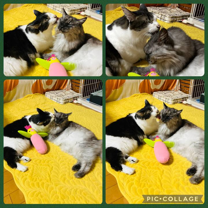 473ebe2b 115d 40fd 8bb2 63b63c089a1e 1753317594558