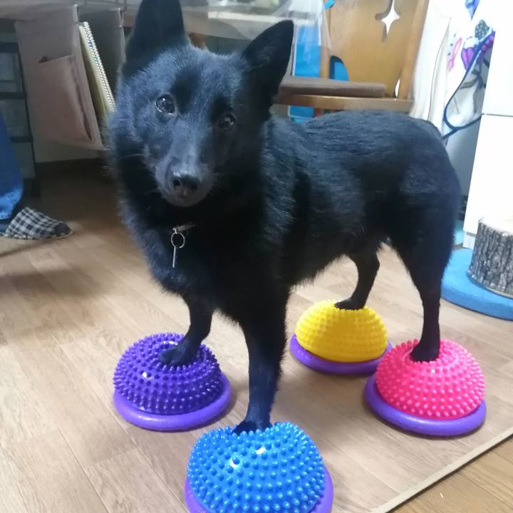 473f00ab fd60 4f61 89f8 aa28dd405c88 1638010752566