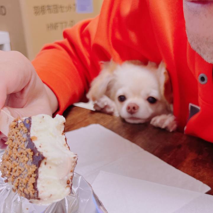 473f2810 abe3 41cd ae1b ed70a4c33f8d 1681039936501