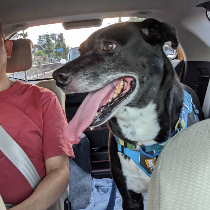 473f2d92 257c 4d79 96f8 ad3ccd1155e3 1691234561143