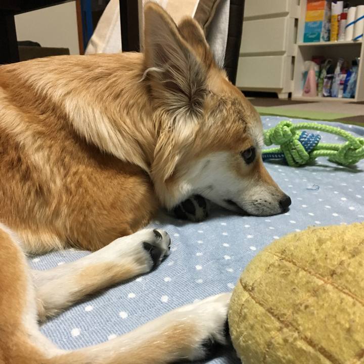 473f54b7 9ca5 40c0 972f 6efd59b92630 1508067278040