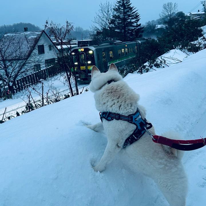 473f5a85 7512 408b 8482 62ac277973fa 1734648079356