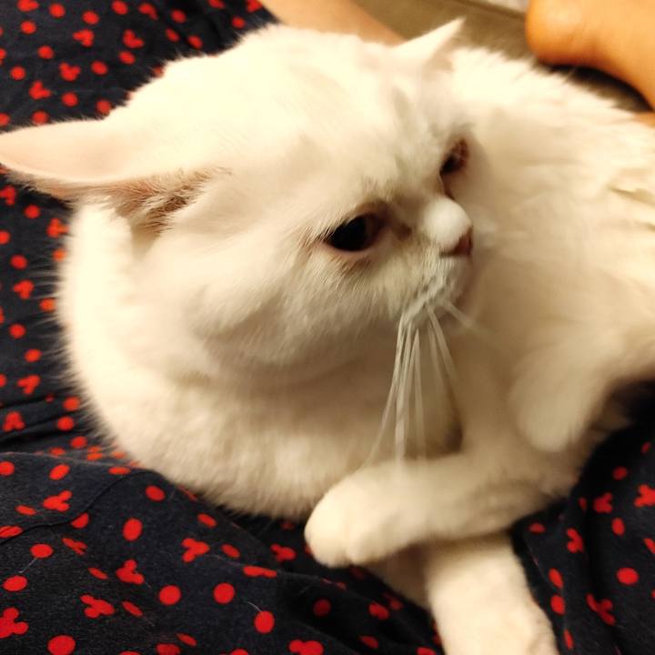 473f76c9 6e14 4676 821d 6085fc2f66cf 1608364978618