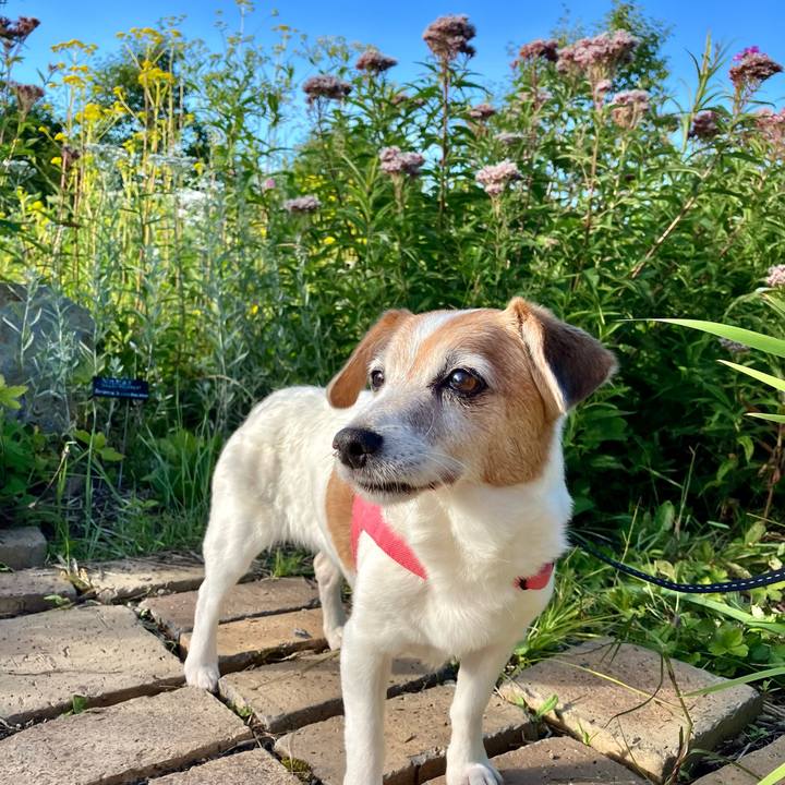 473fa5cb 1ca2 4f6b aa4f 51a57373e2f9 1723724569288