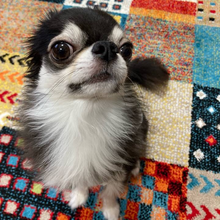 473fae22 a420 445e 9e87 5246fe4426a4 1695465749767