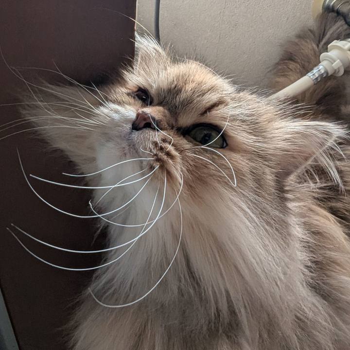 473fb50d 80f0 490d 836f 9c35d8cc94d1 1739058762459