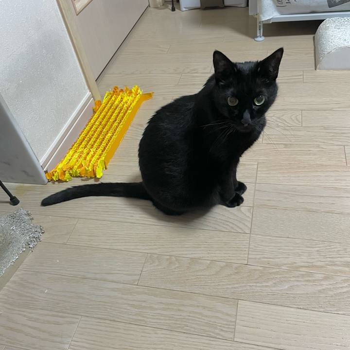 473fe6de af77 4179 855e ce2756136f06 1745324414961