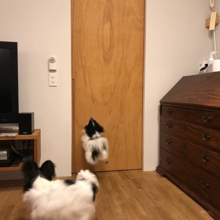 474008ae 99cf 4ae3 bdd0 dcd41e80aced 1521984253205