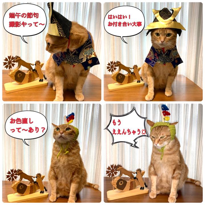 47402548 928f 4287 aca1 4ff57cd83ff9 1620171025045