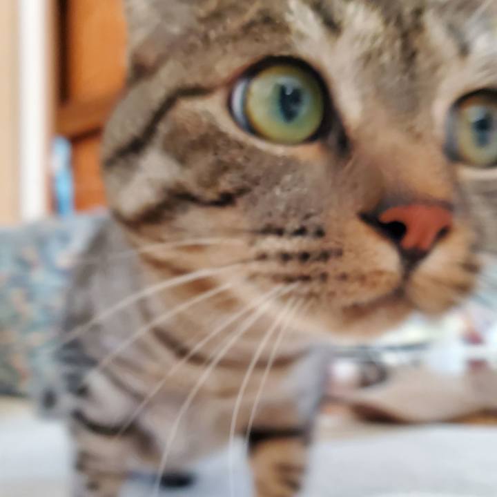 47402813 ad72 4687 acc4 36807b558156 1702010807020