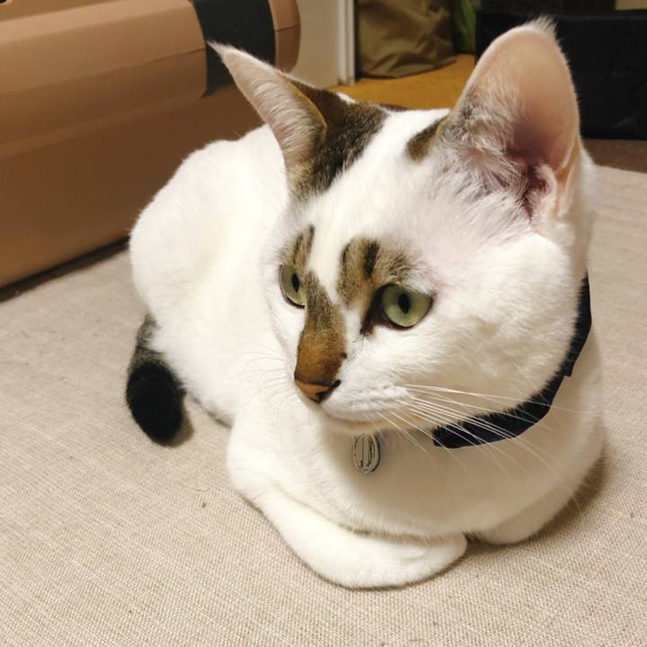 47402b0b ed3e 40b9 99c6 9e89aa912677 1517325510873