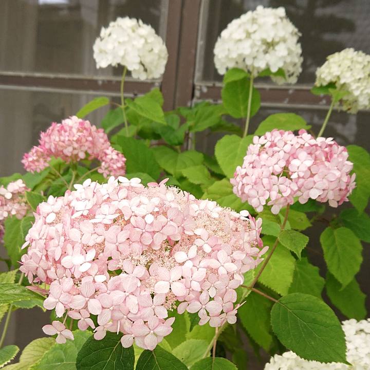 47403b79 223e 4999 8e83 4b3b0597038b 1655334958183