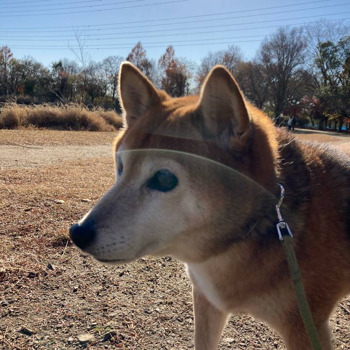 4740424e 7e01 402b b7bf c7327e9d3639 1671171571489