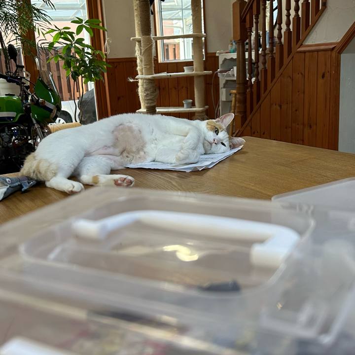 47405cc1 a7b0 4799 a398 5380542a288b 1689456599016