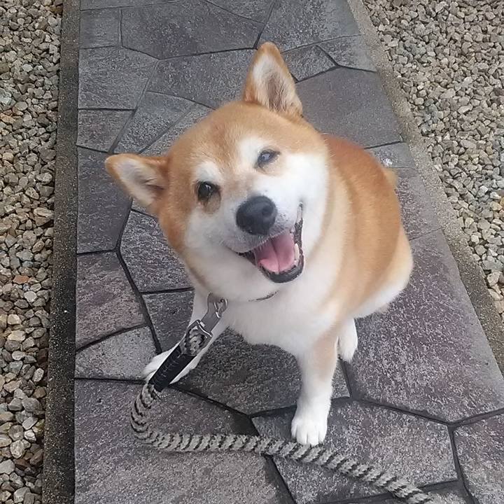 47407f9c 5973 4cea 9237 b6eedbaaf930 1691563501198