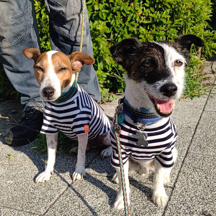 47408cfb 30cd 4028 abd3 716d4fa749cd 1720477130933