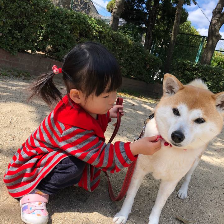 47408f1d 9712 4f26 8a03 b93fea6cbd95 1584745724002