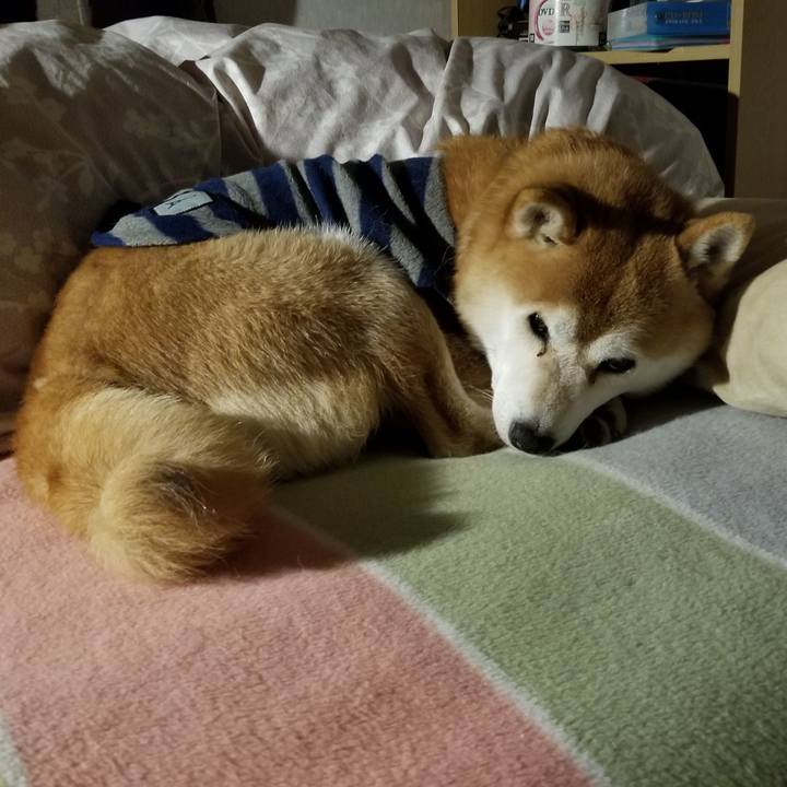 474099df 23de 4956 9c33 efa1e9dc6507 1580604918428