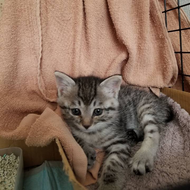 4740d211 4d47 447c 8bbe 80b8fa34f0d4 1660909973512