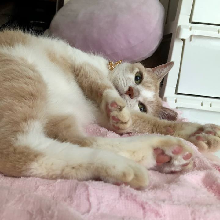 4740f008 c964 4d4f 9f2b a7cc26815727 1601685471567